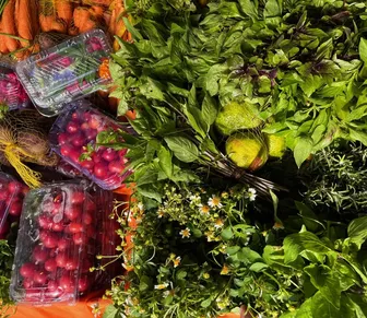 Salvador recebe encontro nacional sobre gastronomias brasileiras