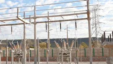 Campanha da Neoenergia atrai cadeia do algodão ao mercado livre
