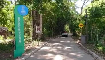 Devastação em reserva ambiental da Praia do Forte é apurada pelo MPF