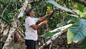 Dia do Agricultor: quem são os protagonistas que movem a Bahia
