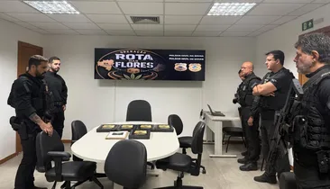 Dupla é presa em Salvador por enviar drogas para Goiás pelos Correios
