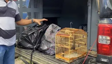 Influenciador digital é preso por tráfico ao tentar fugir com mochilas cheias de drogas