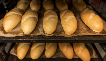 Pão de sal fica mais caro após aumento da farinha de trigo; veja