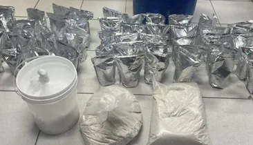 Polícia apreende 37 kg de cocaína avaliados em R$ 1,4 milhão na Bahia