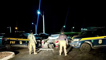 PRF apreende 800 kg de dinamite em caminhonete na BR-407