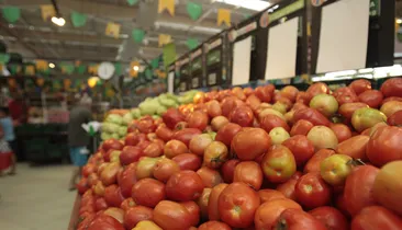 Tomate despenca 41% e reduz custo da cesta básica em Salvador