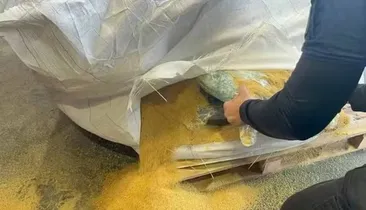 Vídeo: cocaína escondida em carga de soja é apreendida no Porto de Salvador