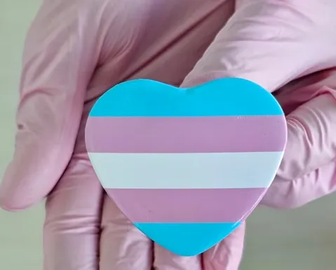 Adolescente trans é autorizada pela Justiça a fazer bloqueio hormonal - Imagem