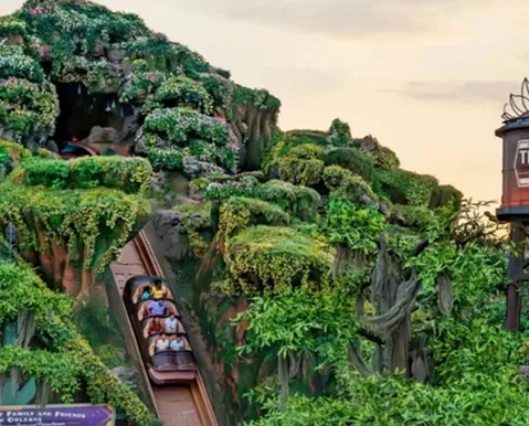 Atração da Disney fecha após incidente com criança