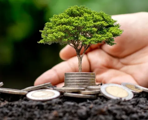 Brasil passa de relatórios de sustentabilidade obrigatórios para voluntários - Imagem