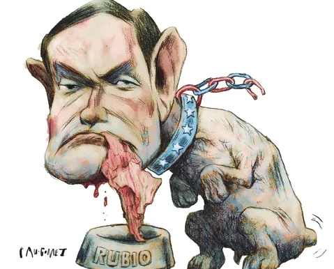 Charge do dia 07/08/2026