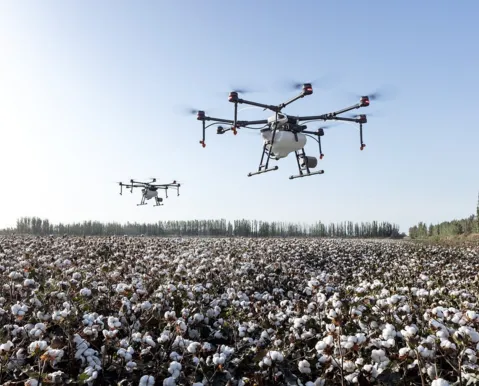 Como o uso da inteligência artificial está desbancando o agro baiano?