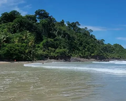 Conheça praia na Bahia que está entre as melhores do mundo