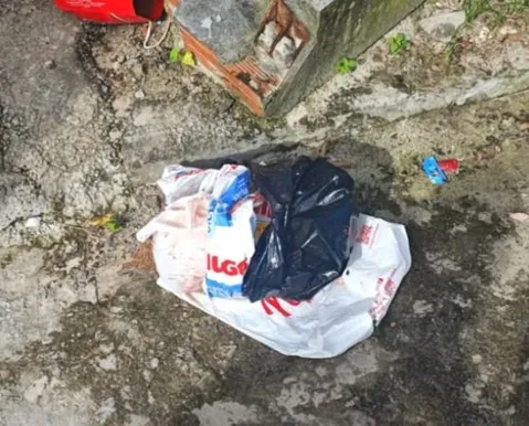 Corpo de bebê é encontrado dentro de saco plástico em terreno baldio na RMS - Imagem