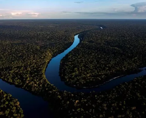 Desmatamento na Amazônia cai 37,5% e atinge menor nível da história