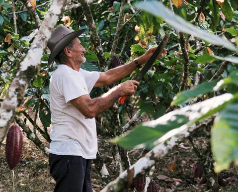 Dia do Agricultor: quem são os protagonistas que movem a Bahia