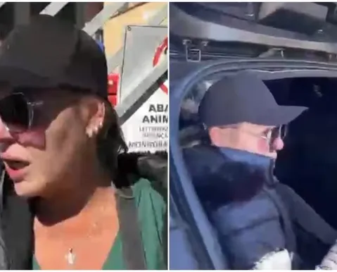 Dona de ONG de proteção animal é presa pelo crime de maus-tratos - Imagem