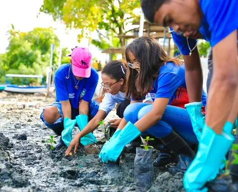 Estudantes plantam mudas de manguezal em área do VLT de Salvador
