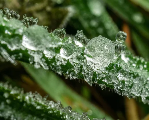 Granizo fere criança e coloca estado brasileiro em alerta vermelho - Imagem