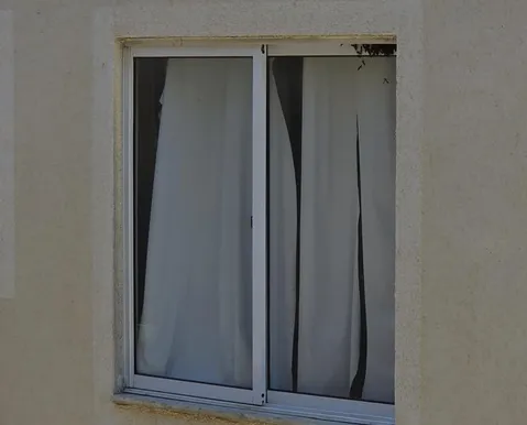 Infestação de insetos em cidade da Bahia assusta moradores; entenda motivo