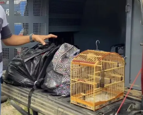 Influenciador digital é preso por tráfico ao tentar fugir com mochilas cheias de drogas - Imagem