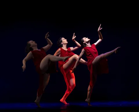 Jornada de Dança da Bahia leva formação gratuita a cidades brasileiras - Imagem