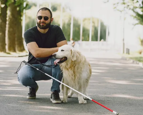 Lei de cão-guia em Salvador gera debate entre motoristas de app e taxistas - Imagem