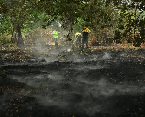 Onda de calor deixa mais de 7,3 mil mortes em excesso na França em 2026