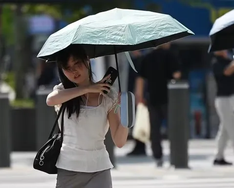 Pelo menos 16 pessoas morrem devido ao calor extremo na Coreia do Sul - Imagem