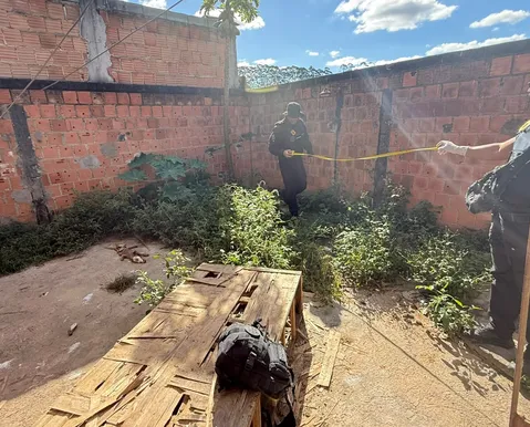 Professora é presa por suspeita de maus-tratos contra cães na Bahia - Imagem