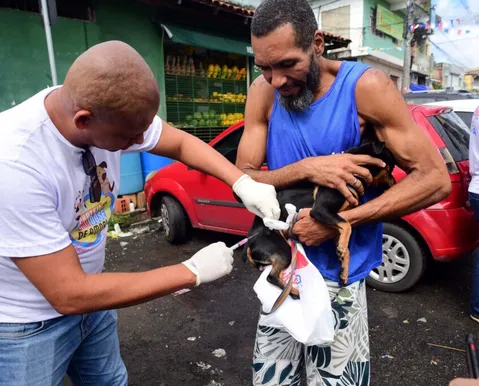 Salvador intensifica vacinação antirrábica; saiba como vai funcionar - Imagem