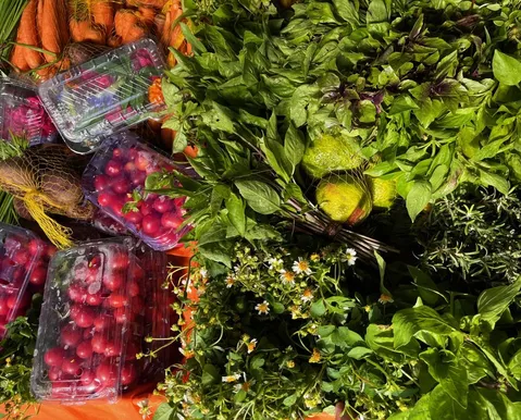 Salvador recebe encontro nacional sobre gastronomias brasileiras - Imagem