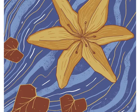 Sayuri e a arte dos encontros que desaceleram o tempo - Imagem