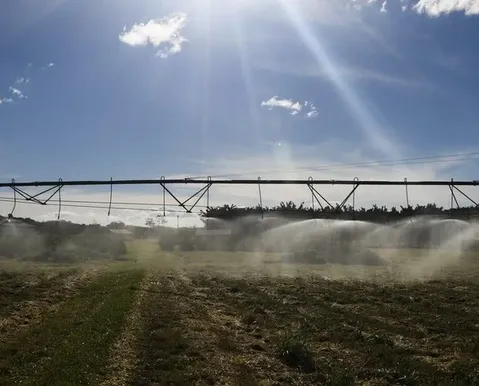 Tarifaço dos EUA põe em risco 36,5% das exportações do agro - Imagem