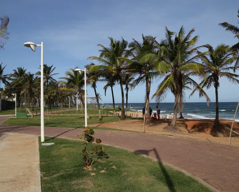 Ventania atinge praia de Salvador com rajadas de até 43,2 km/h