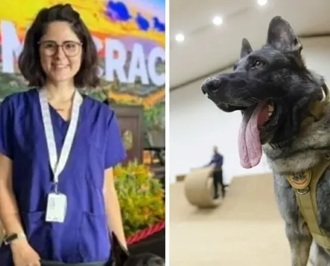 Veterinária atacada por cão do Senado morre após quatro dias internada