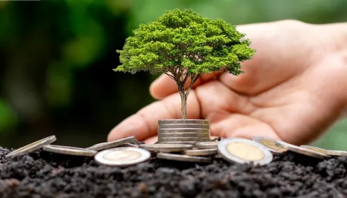 Brasil passa de relatórios de sustentabilidade obrigatórios para voluntários