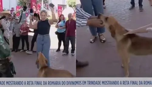 Cachorro “come” equipamento de repórter em programa ao vivo
