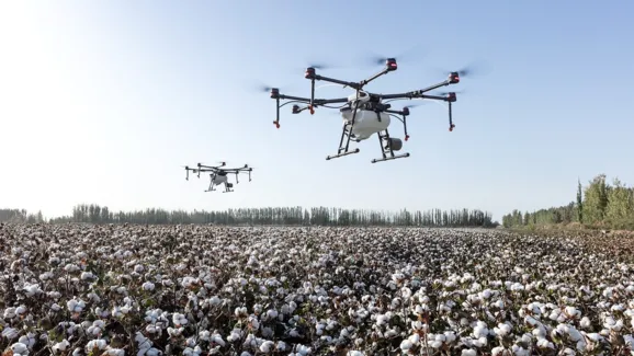 Como o uso da inteligência artificial está desbancando o agro baiano?
