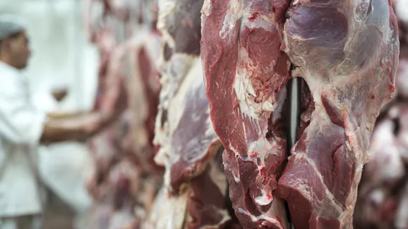 Excesso de carne bovina em frigorífico derruba o preço do boi na Bahia