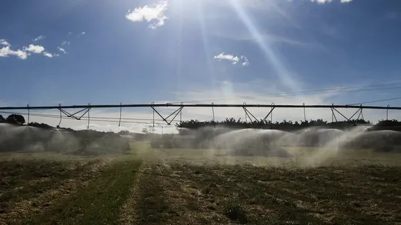 Tarifaço dos EUA põe em risco 36,5% das exportações do agro