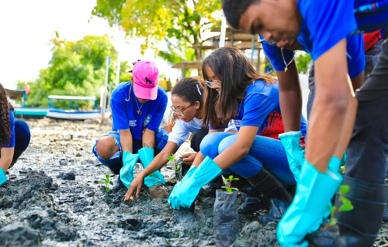 Estudantes plantam mudas de manguezal em área do VLT de Salvador