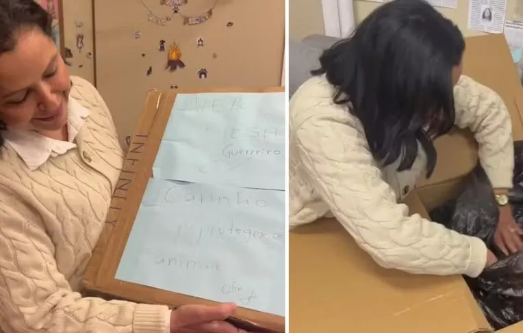 Mulher é indiciada após enviar corpo de cachorro para gabinete de vereadora