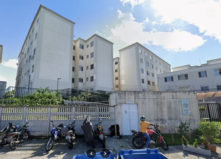 Denúncia aponta gatos em situação de abandono em condomínio de Salvador