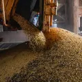 ‘Agribusiness Plan’: o futuro está no presente imagem
