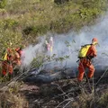 Após 100 dias de combate a incêndios florestais, bombeiros registram queda de 29% nos focos de calor durante a operação imagem