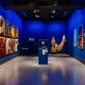 Atlântico Sertão: exposição gratuita reúne trabalhos de 80 artistas imagem