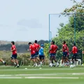 Bahia ganha reforço na recuperação antes de duelo com o Palmeiras imagem