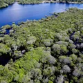 Brasil alcança menor taxa de desmatamento na Amazônia e Cerrado imagem