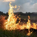 Cidades baianas recebem alerta para risco de queimadas imagem
